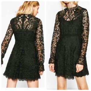 ZARA Bottle Green Lace Mini Dress | Sz M